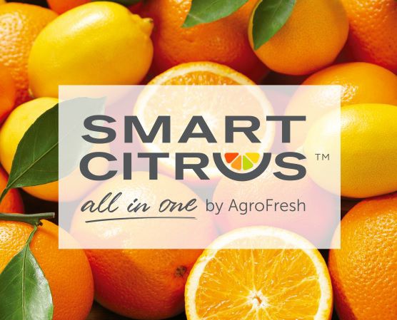 agrofreshsmartcitrus1.jpg