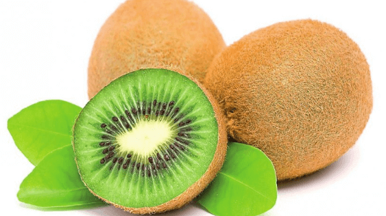 Brancato-kiwi-1-2-1c.png