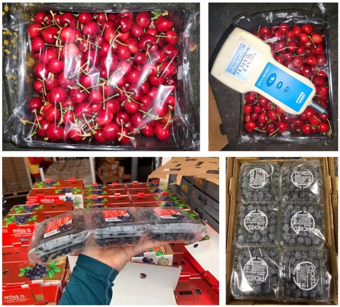 Comparison of Browning Presence in Regina Cherries: Flowpack Paclife vs. Traditional Modified Atmosphere Packaging