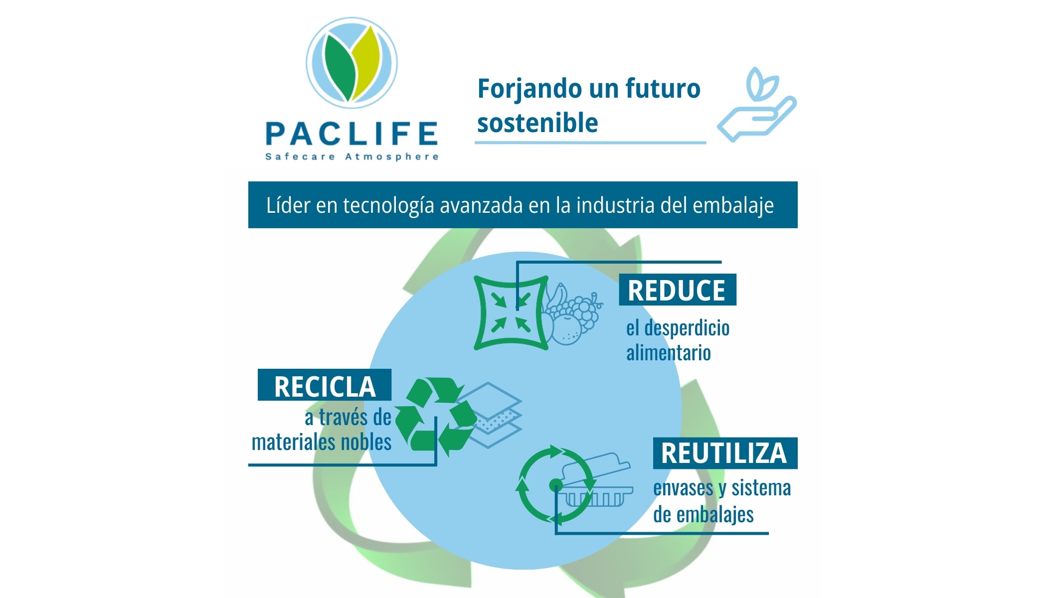 Paclife, forjando un futuro sostenible en la industria del embalaje