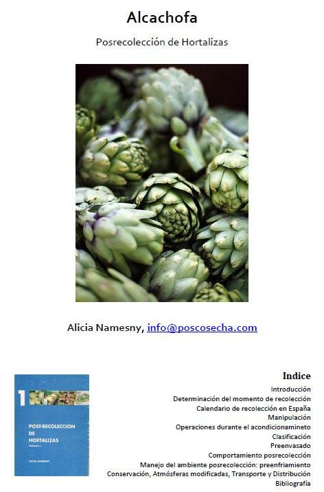 Alcachofa. Posrecolección de hortalizas