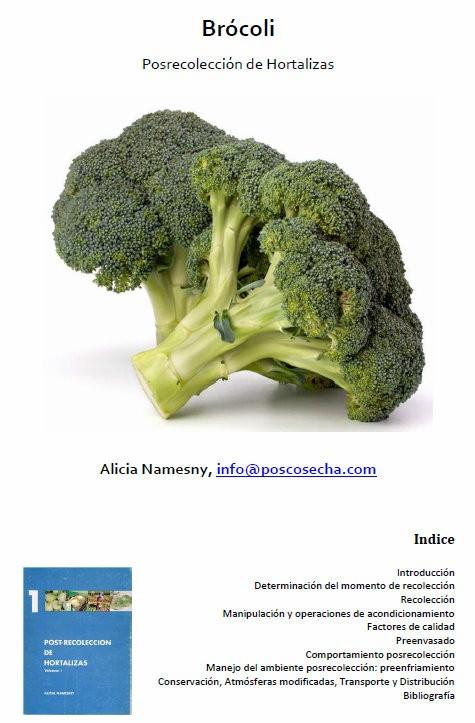 Brócoli. Posrecolección de hortalizas