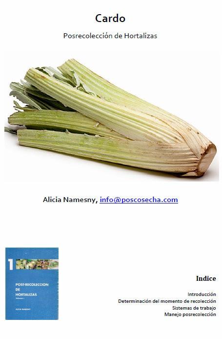 Cardo. Posrecolección de hortalizas