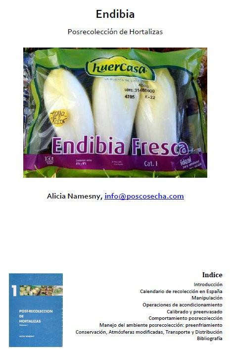Endibia. Posrecolección de hortalizas