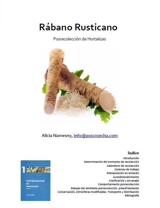 Rábano Rusticano. Posrecolección de hortalizas