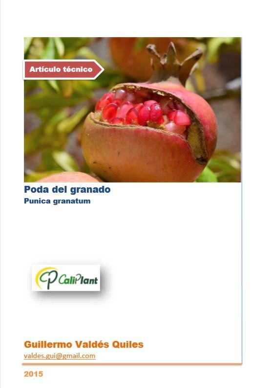 Poda del granado. Punica granatum