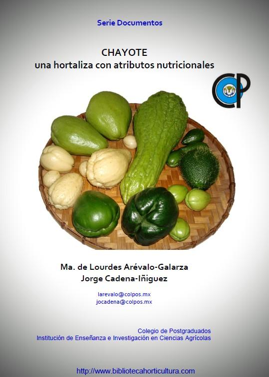 Chayote, una hortaliza con atributos nutricionales