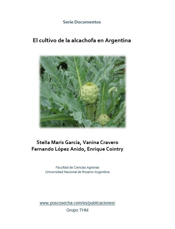 El cultivo de la alcachofa en Argentina