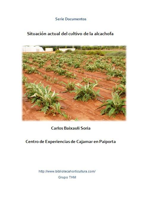 Situación actual del cultivo de la alcachofa