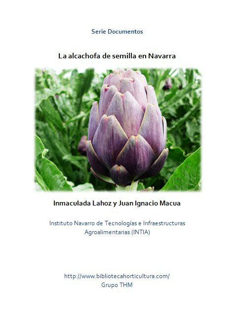 La alcachofa de semilla en Navarra