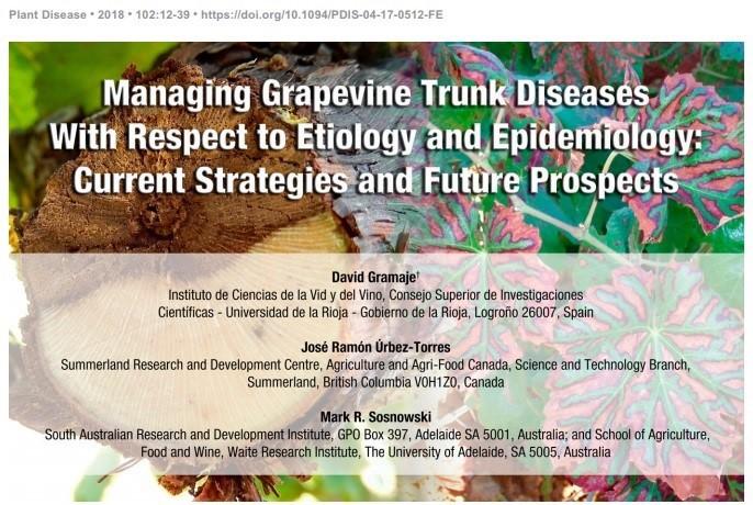Managing grapevine trunk diseases with respect to etiology and epidemiology: current strategies and future prospects