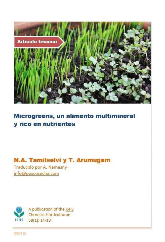 Microgreens, un alimento multimineral y rico en nutrientes