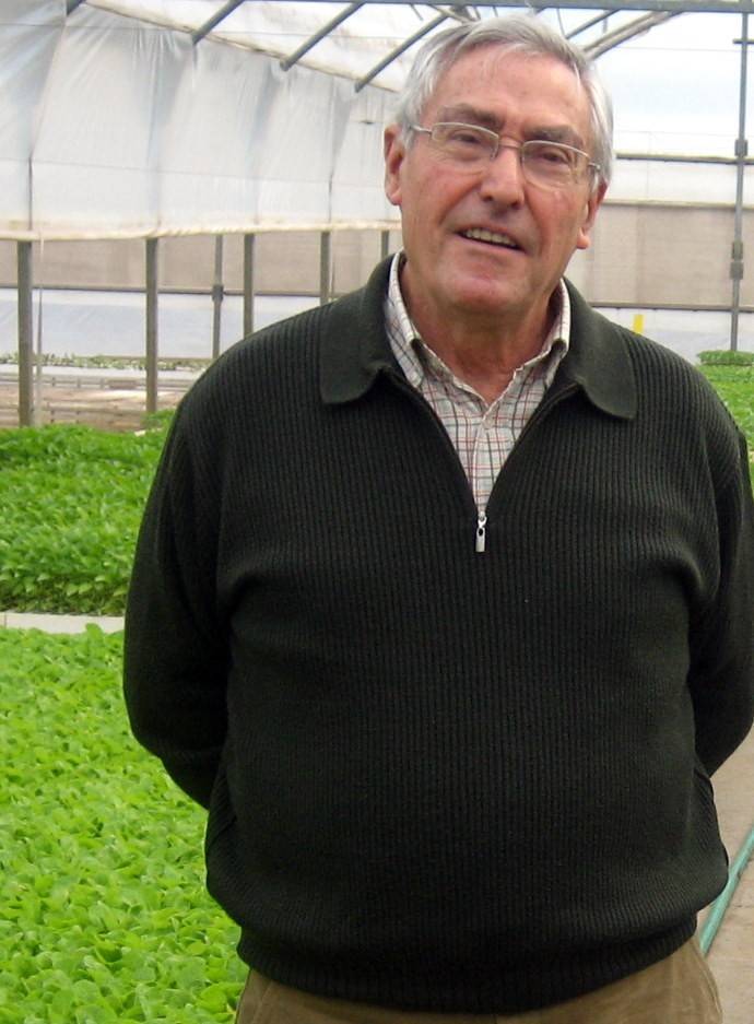 De Miguel Gómez, Alfredo