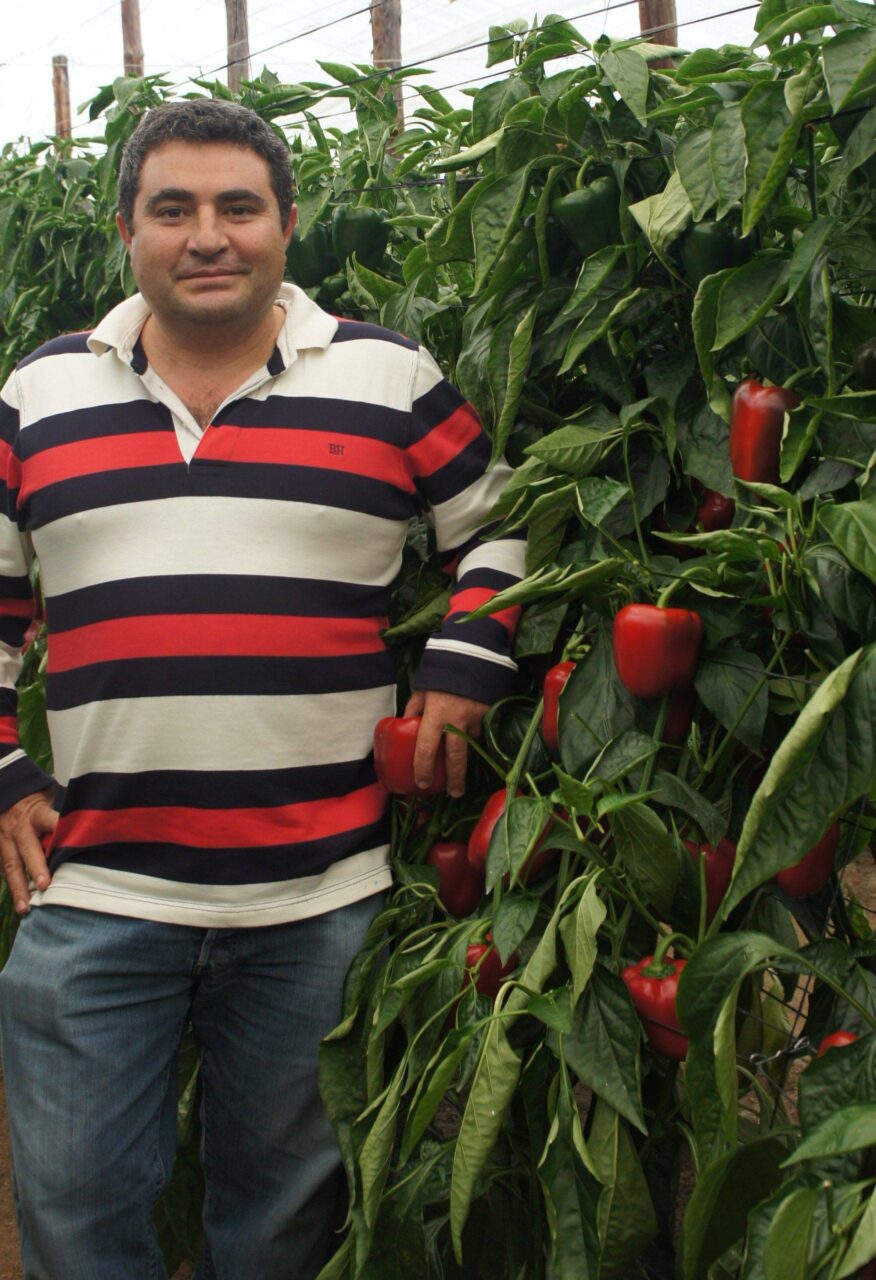 Gómez Aguilera, José Luis