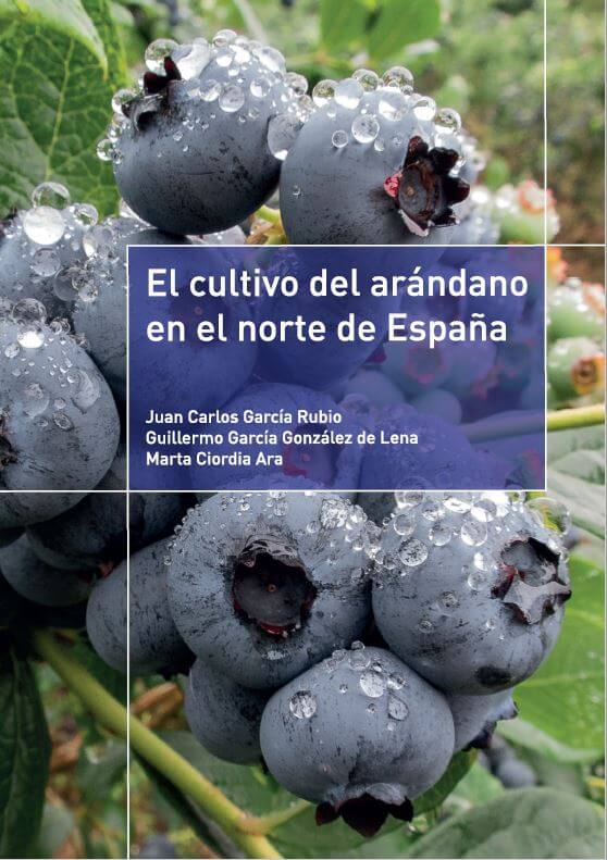 El cultivo del arándano en el norte de España