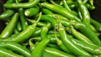 serrano-peppers-g7571e6bfd_1280-e1683620617518.jpg
