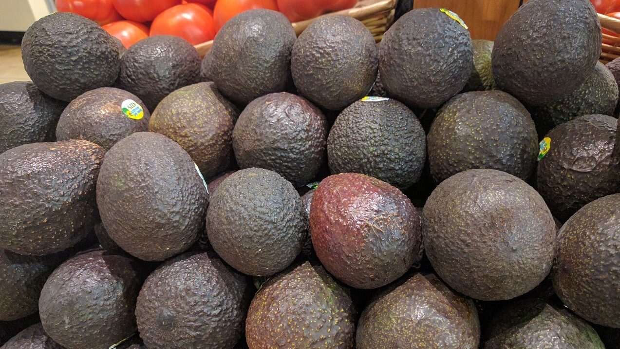 avocados-g8b2155b57_1280-e1667471754905.jpg