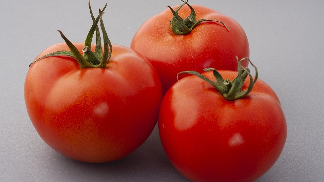 tomatoes-gc7c69d86a_1280-e1669028891537.jpg