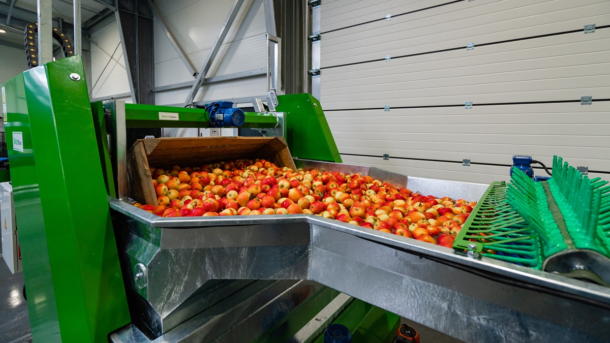Green Sort Green Sort: Una máquina clasificadora inteligente para cada productor ...