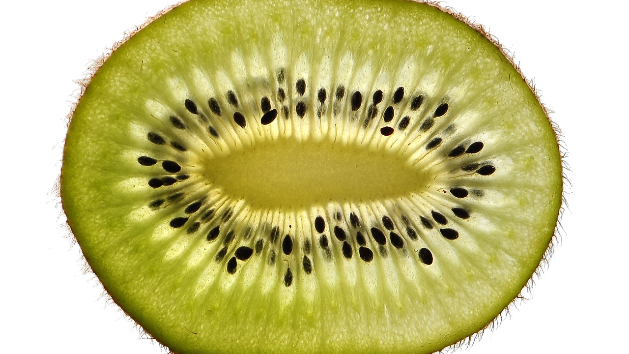 kiwi-g16a202899_1280-e1671488338313.png