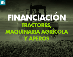 Winograd, Mariano