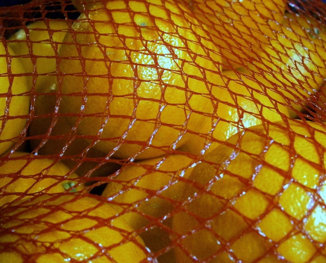 orange-216484_1280.jpg