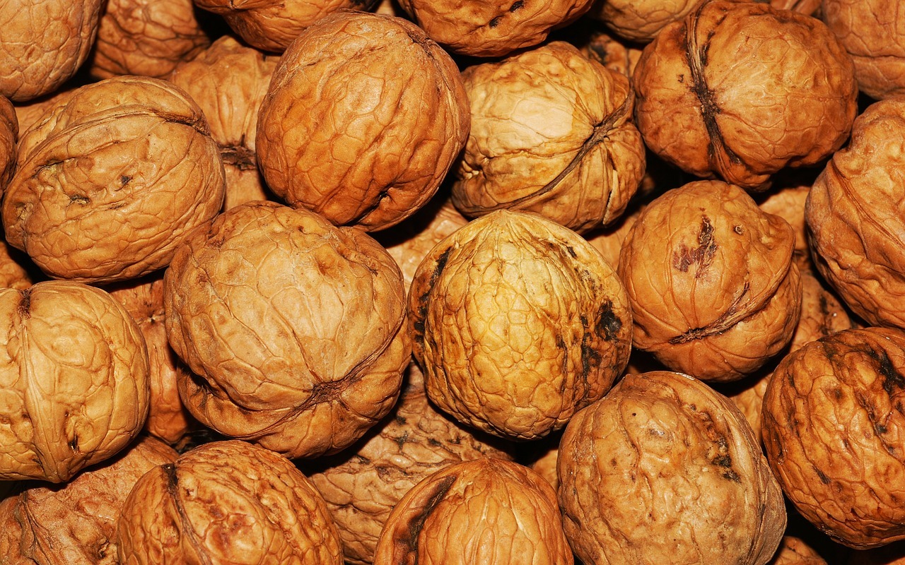 walnut-101425_1280.jpg