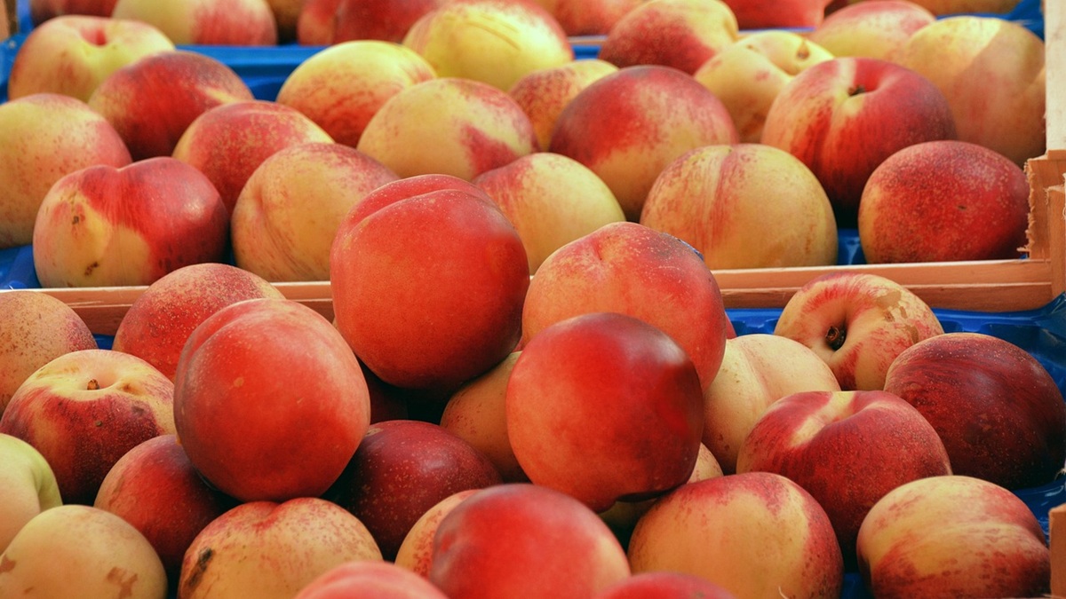 peaches-3231448_1280.jpg