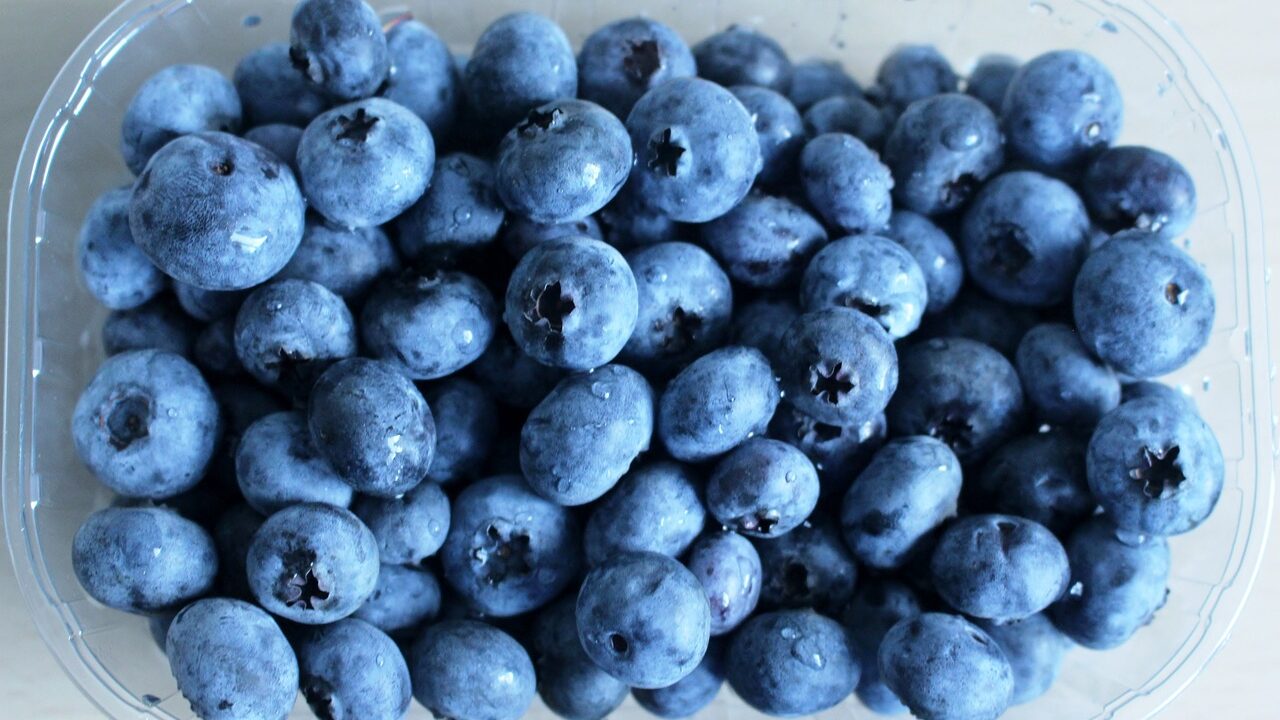 blueberries-gff2653b08_1280-e1676905511424.jpg