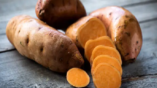boniato.png