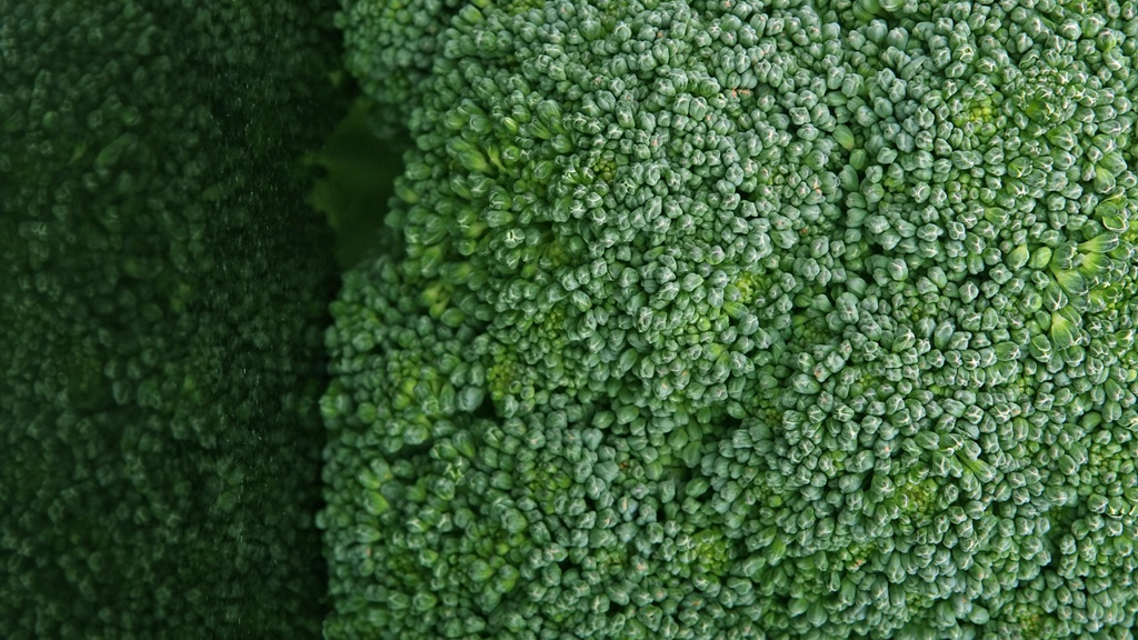brócoli.png