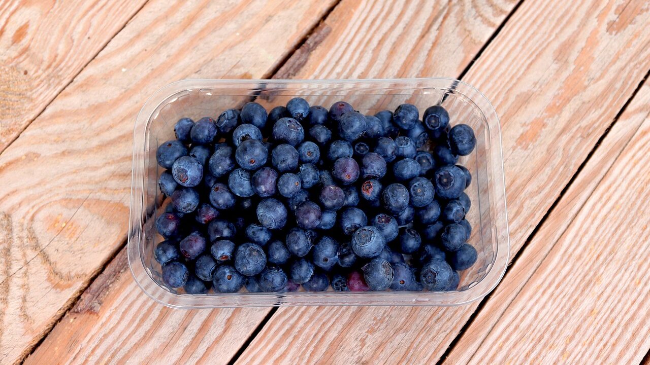 blueberries-gd731fef6e_1280-e1678408288303.jpg