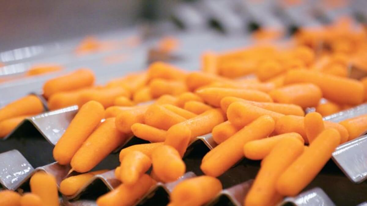 topfresh-carrot-processing-sormac.jpg