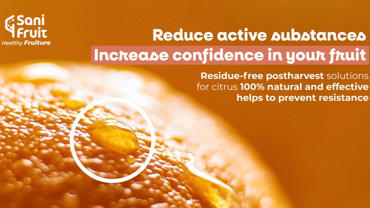 citrus-postharvest-south-africa-sanifruit.jpg