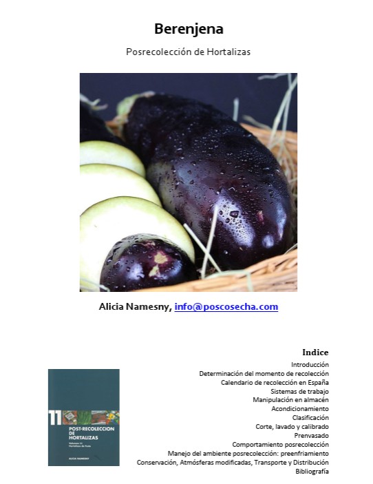 Berenjena. Posrecolección de Hortalizas