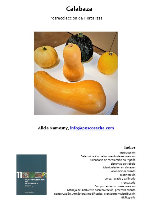 Calabaza. Posrecolección de Hortalizas