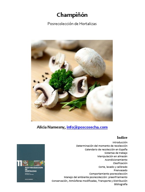 Champiñón. Posrecolección de Hortalizas
