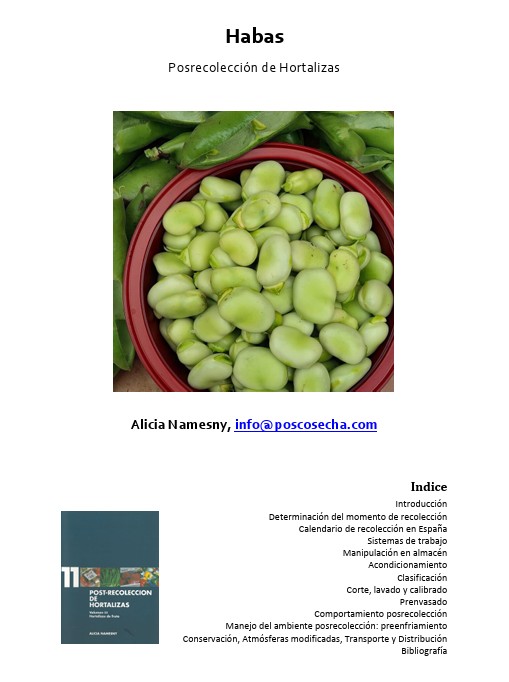 Habas. Posrecoleeción de Hortalizas