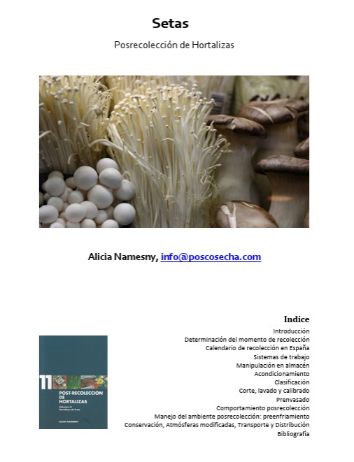 Setas. Posrecolección de Hortalizas