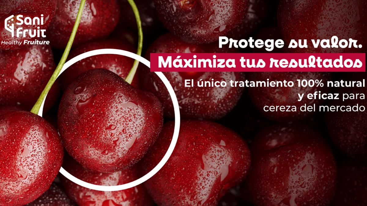 sanifruit-postcosecha-sanistone-cereza.png
