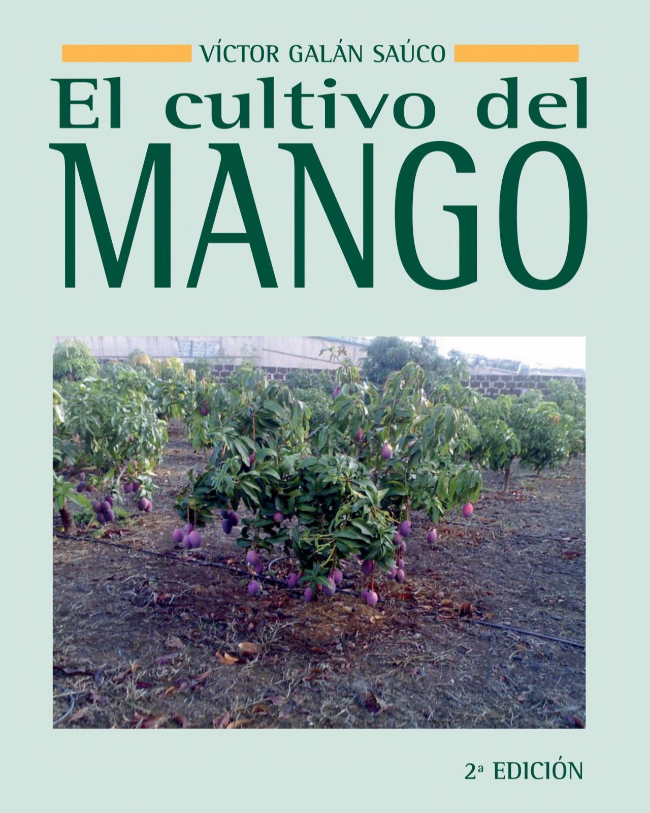 El cultivo del mango