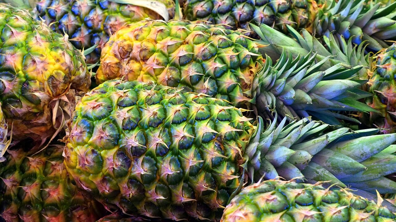 pineapple-ga20e0f5e9_1280-e1683881004927.jpg