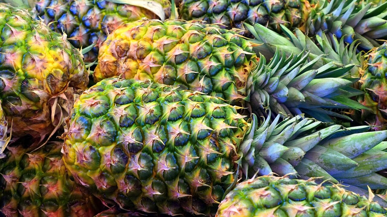 pineapple-ga20e0f5e9_1280-e1683881004927.jpg