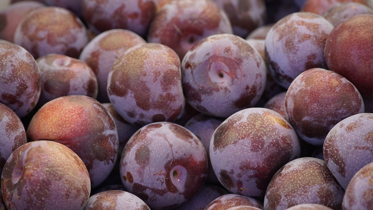 jhenning-plums-8932336.jpg