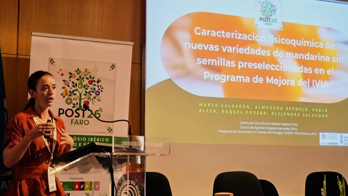 POST26-Marta-Calderon-IVIA.jpg