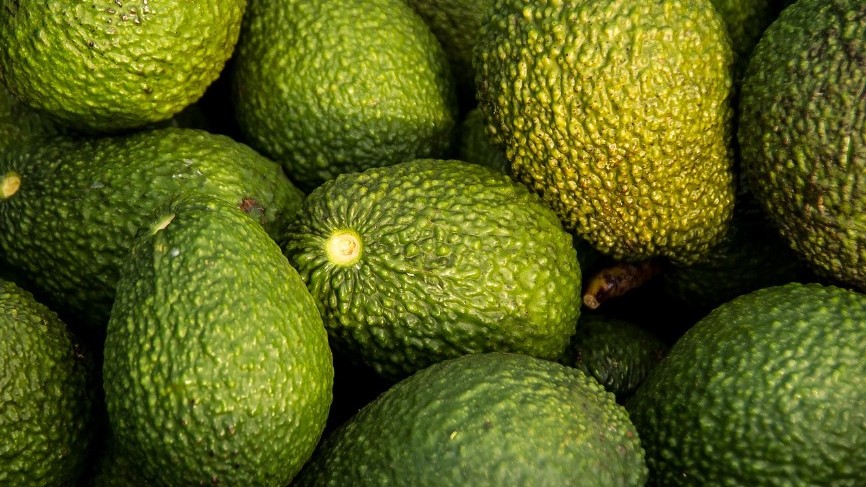 aguacatehass.jpg