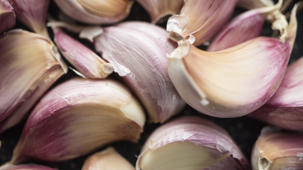 curious_collectibles-garlic-8214036.jpg