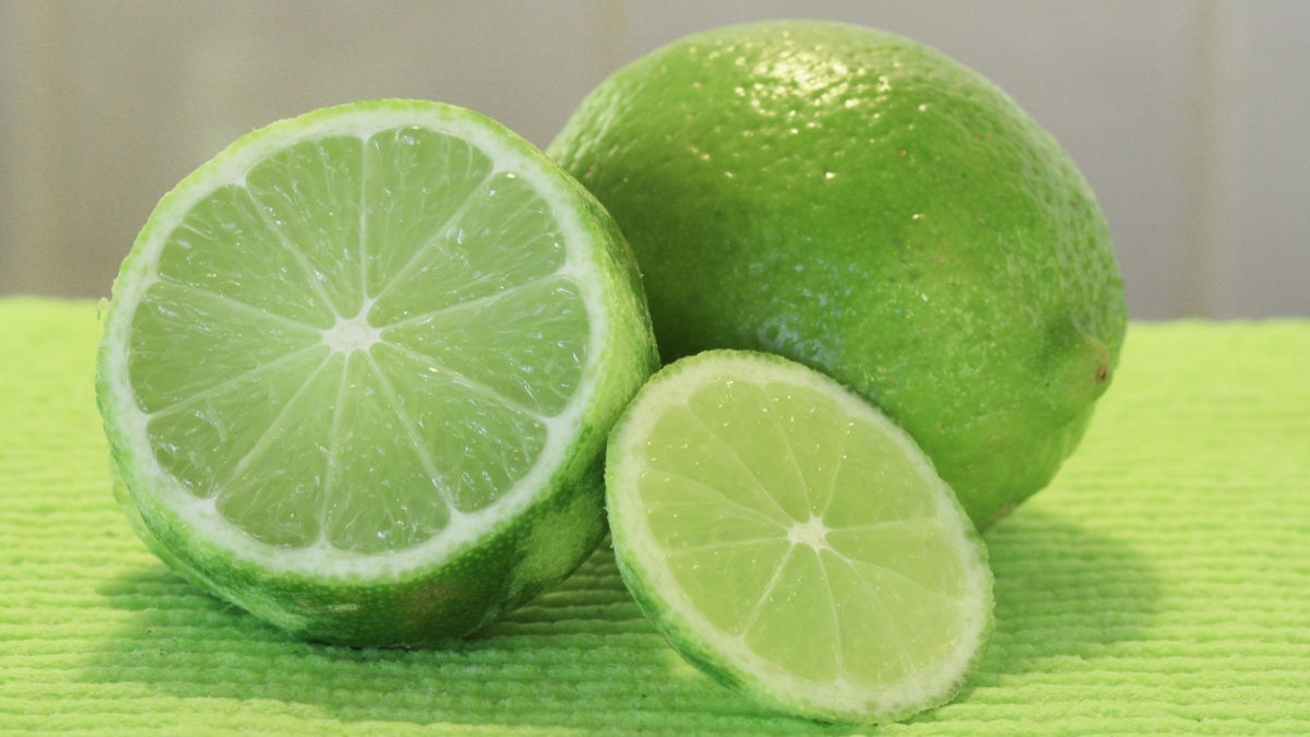 johanna84-lime-116926.jpg
