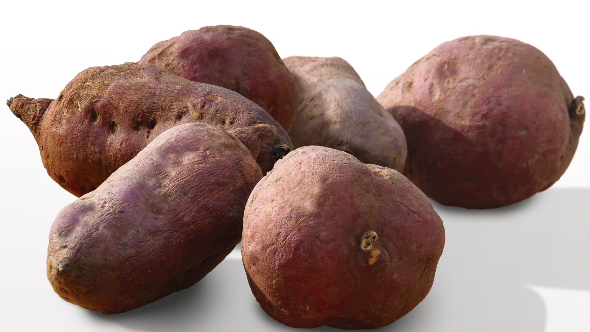 apassarelli-sweetpotato-1975990.jpg
