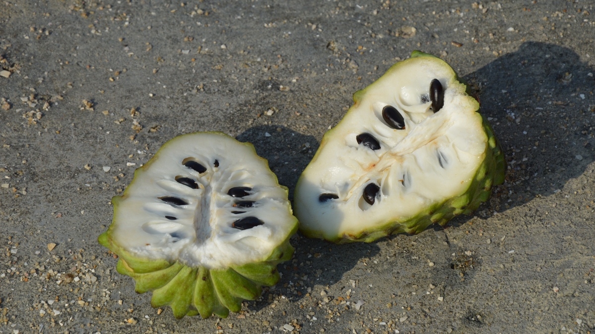 jing-custard-apple-257241.jpg